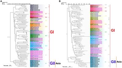 Classification of genotypes based on the VP1 gene of feline calicivirus and study of cross-protection between different genotypes